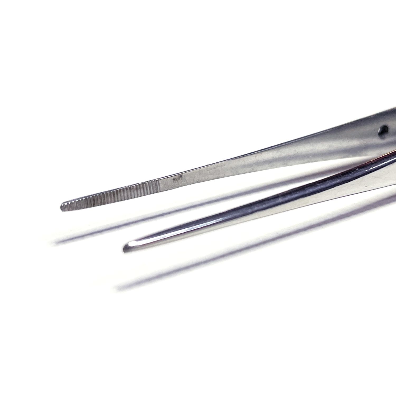 Dissecting Forceps Straight (15cm / 20cm), Size: 15cm