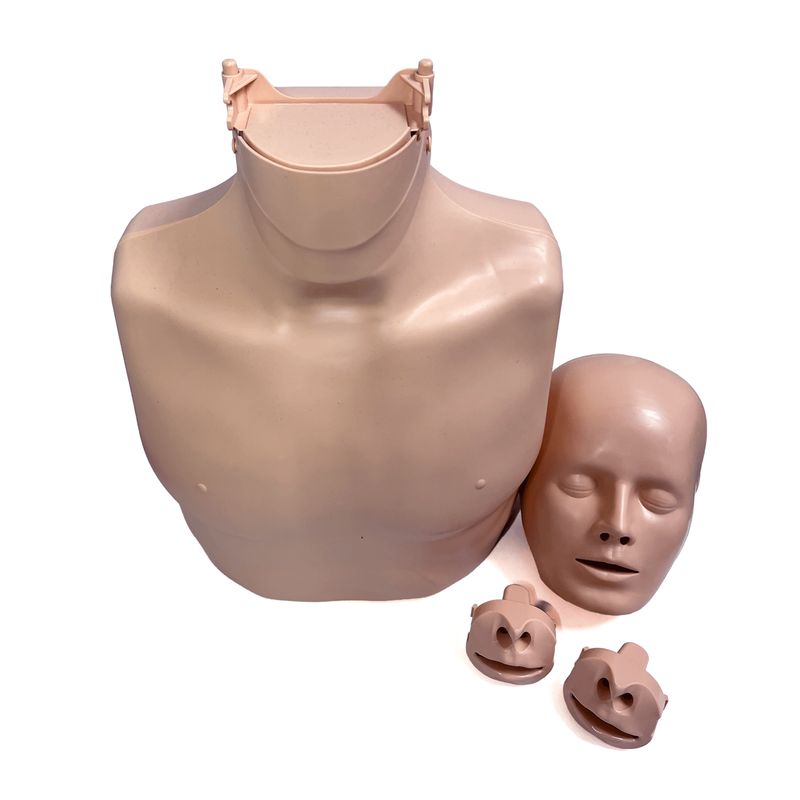 CPR Training Manikin - torso, head and replacement valves | SundryMed Supplies