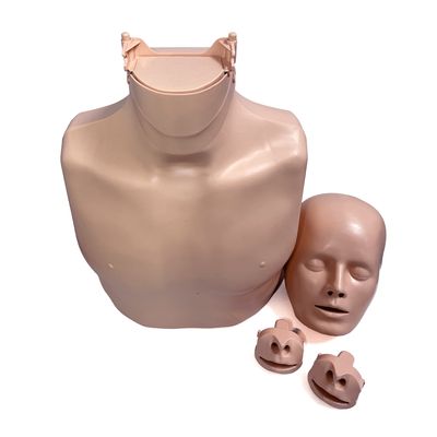 CPR Training Manikin - torso, head and replacement valves | SundryMed Supplies