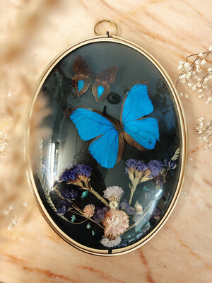 Vlinder decoraties Vlinder decoraties