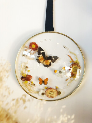 Vlinder decoraties Vlinder decoraties