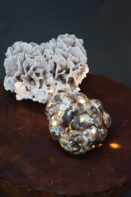 Anemona | Keramische Lamp