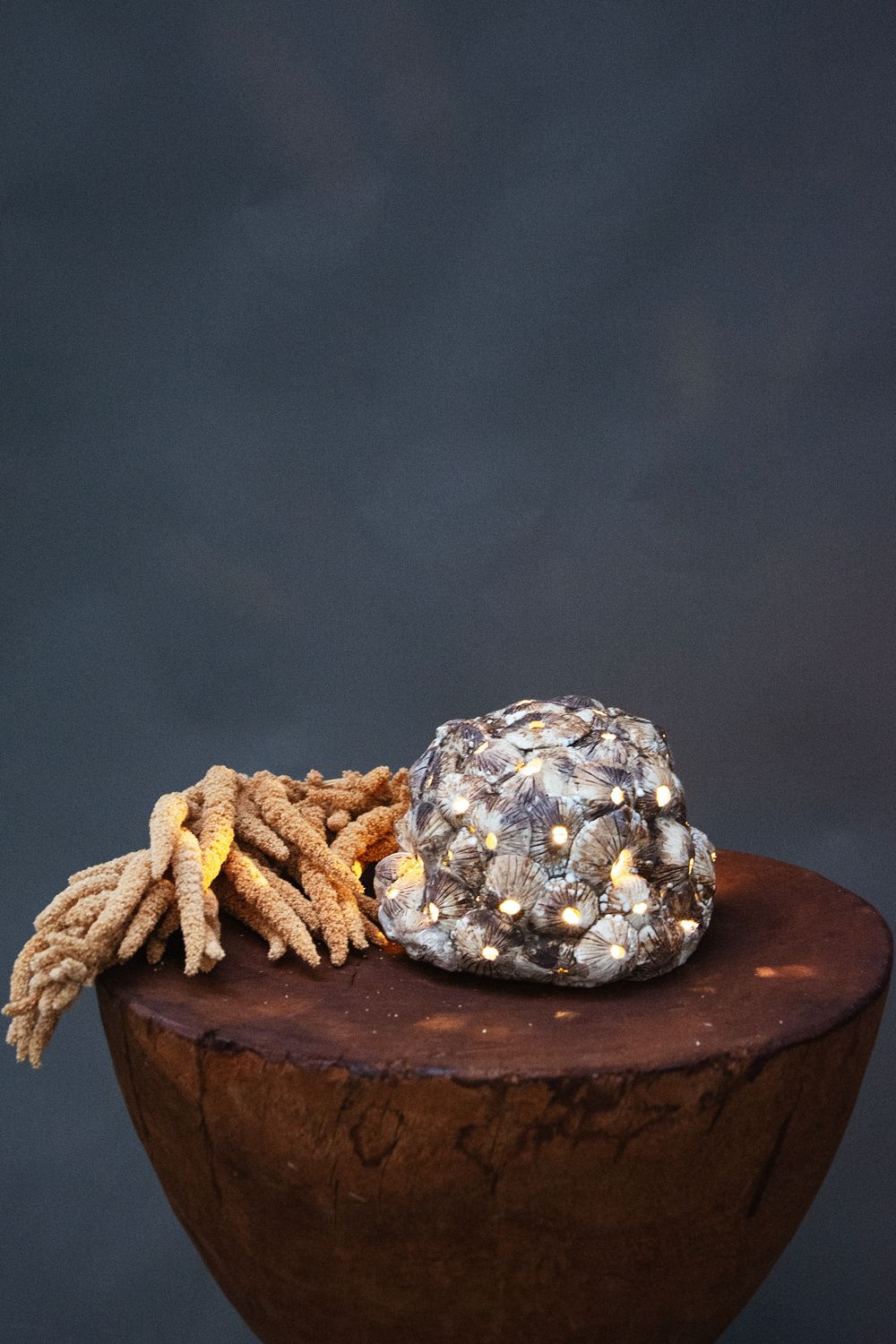 Anemona | Keramische Lamp