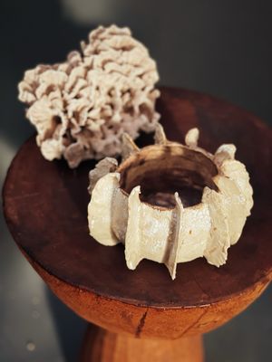 Sanga | De tijdloze pracht van de zee