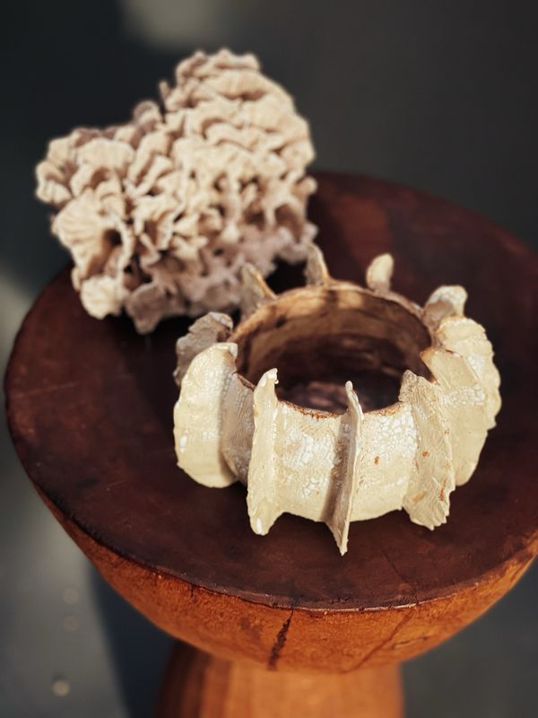 Sanga | De tijdloze pracht van de zee