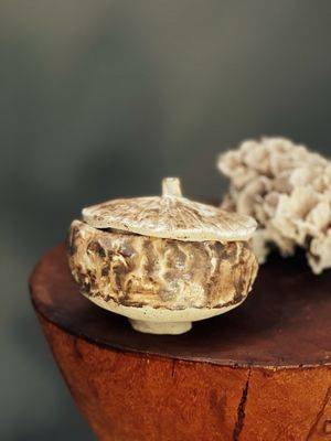 Florna | Keramieken zaaddoos potje