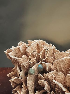 Earthen shine earrings | Stralende aardse oorbellen