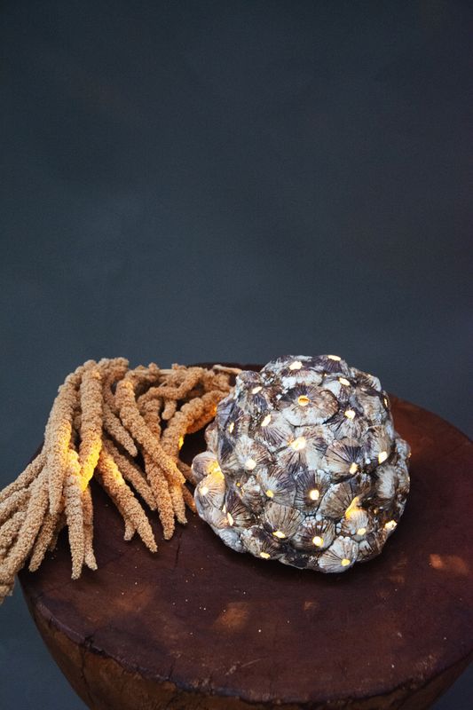 Anemona | Keramische Lamp