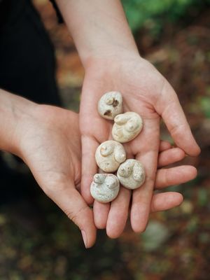 ​Mammara | Beeldjes van vrouwelijke kracht