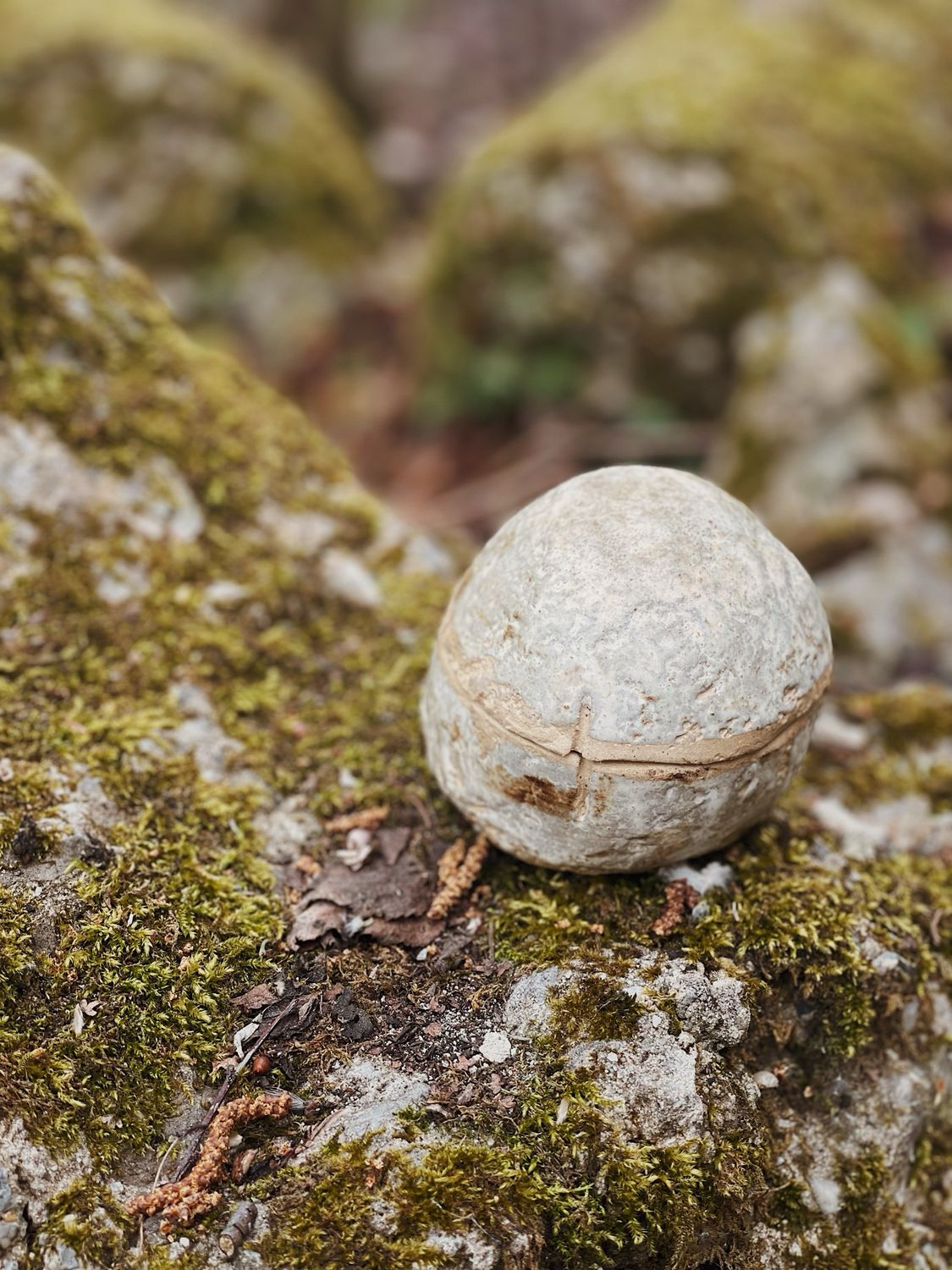 Secret stone | Bewaarpotje
