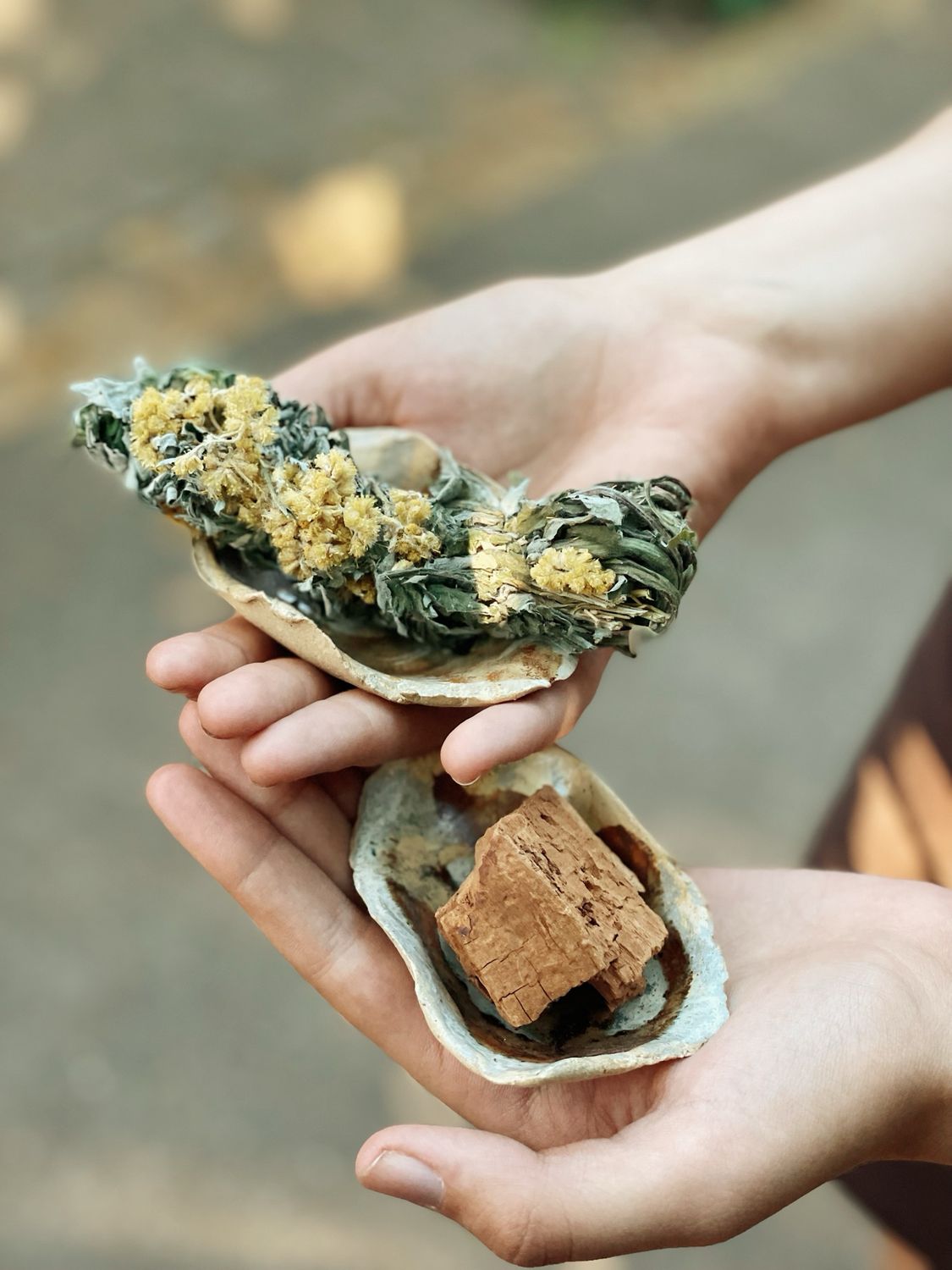 Madre mugwort | Rituele schaaltjes