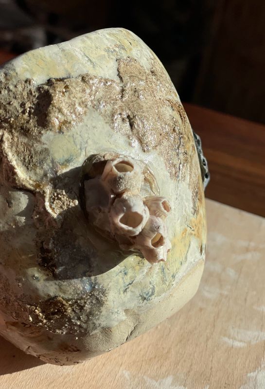 Earth cup seasalt | Natuurschatten in een kopje