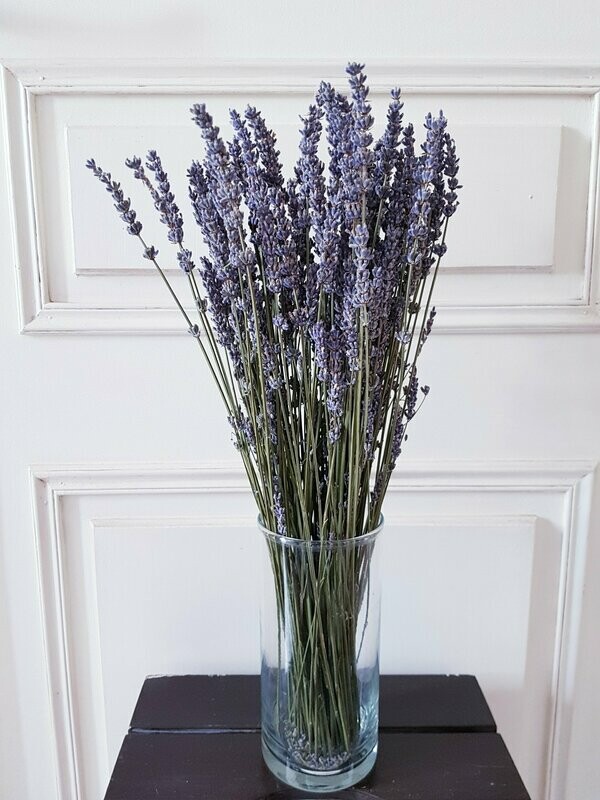bouquet de lavande séchée