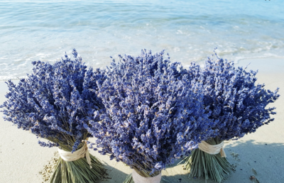 Bouquet de lavande - Influence Naturelle Fleuriste
