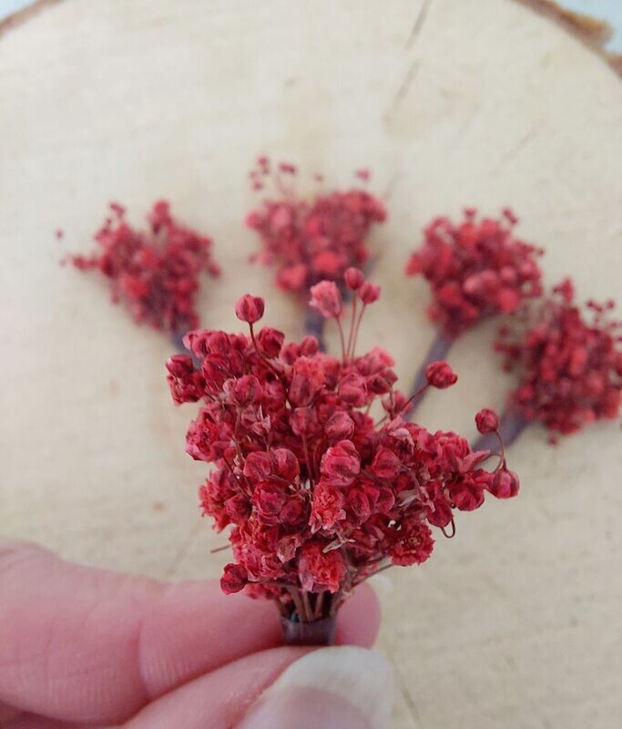 Pics cheveux gypsophile rose