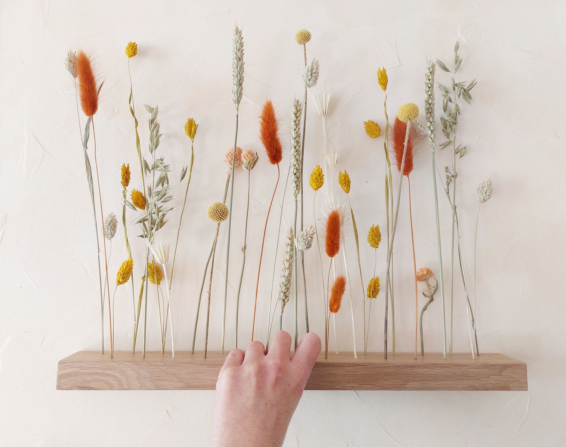 flowerbar-decoration en fleurs sechees-influence naturelle