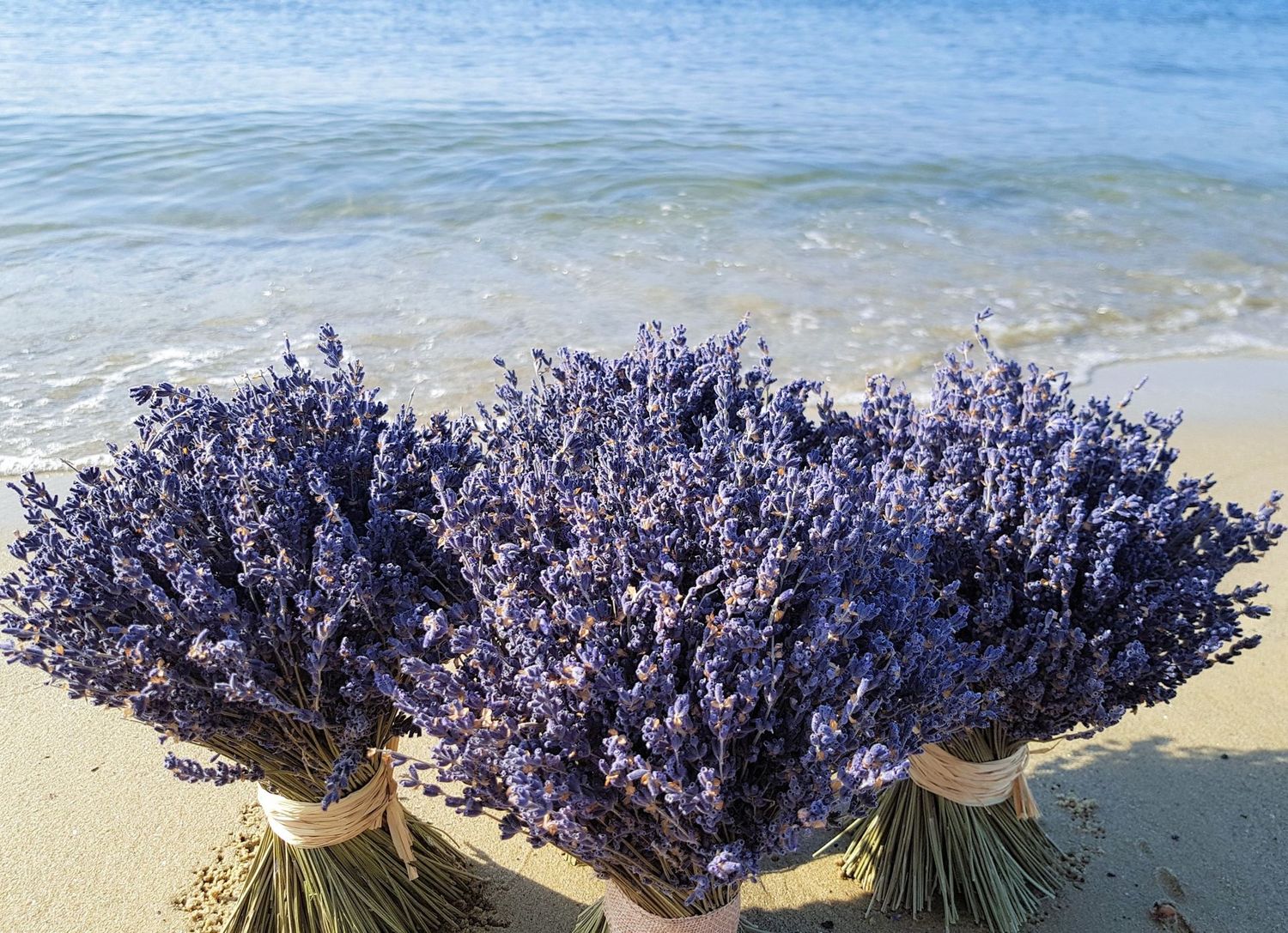Bouquet de lavande , Influence Naturelle Fleuriste