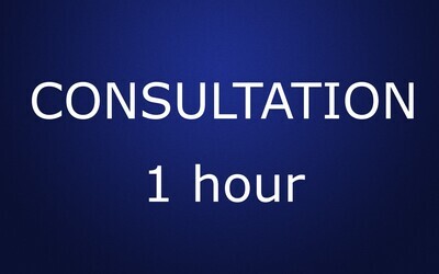 One hour consultation