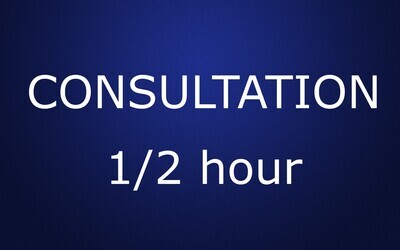 half hour consultation