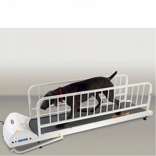 PetRun PR725 Dog Treadmill by GoPet