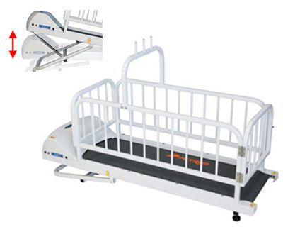 PetRun PR720E Dog Treadmill