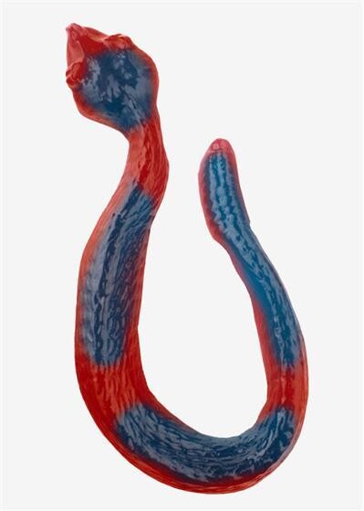 Giant Gummy Snake 1ct