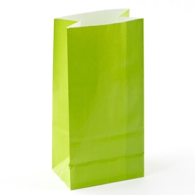 Mini Paper Bag Lime 12ct