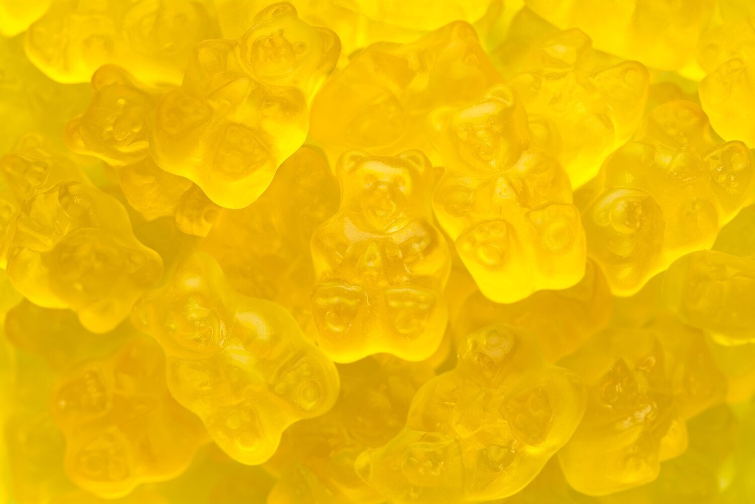 Gummi Bears Mango 5lb