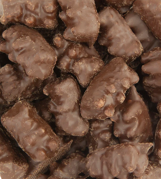 Koppers Chocolate Gummy Bears 2oz