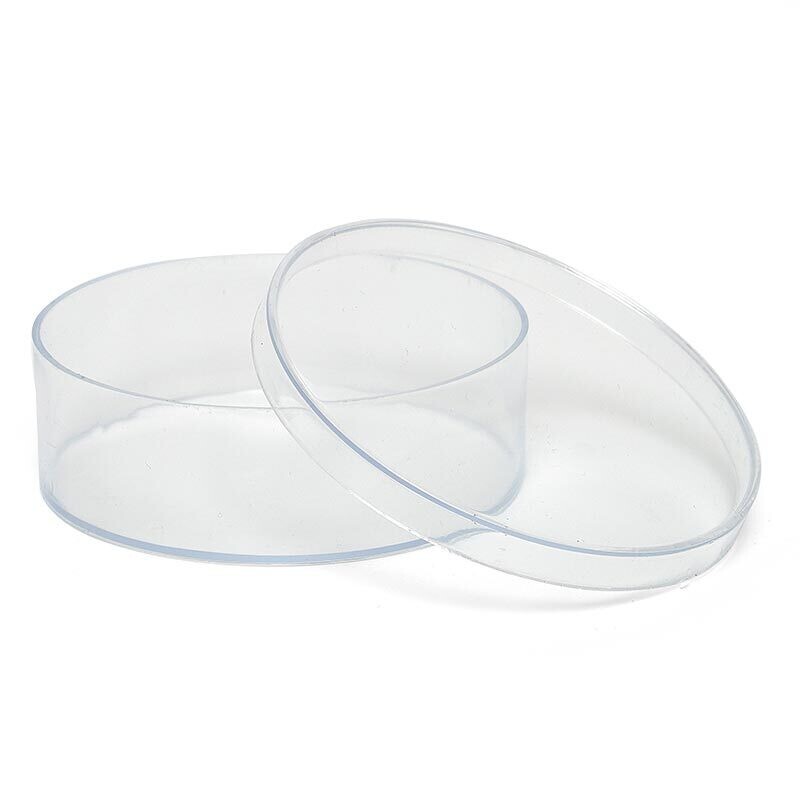 Round Box Clear 3.75&quot; 12ct