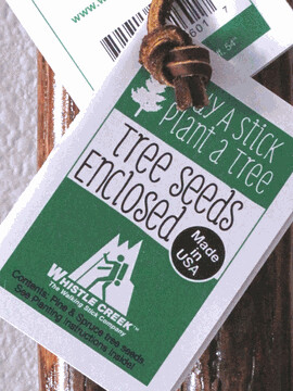 Packet of Tree Seeds