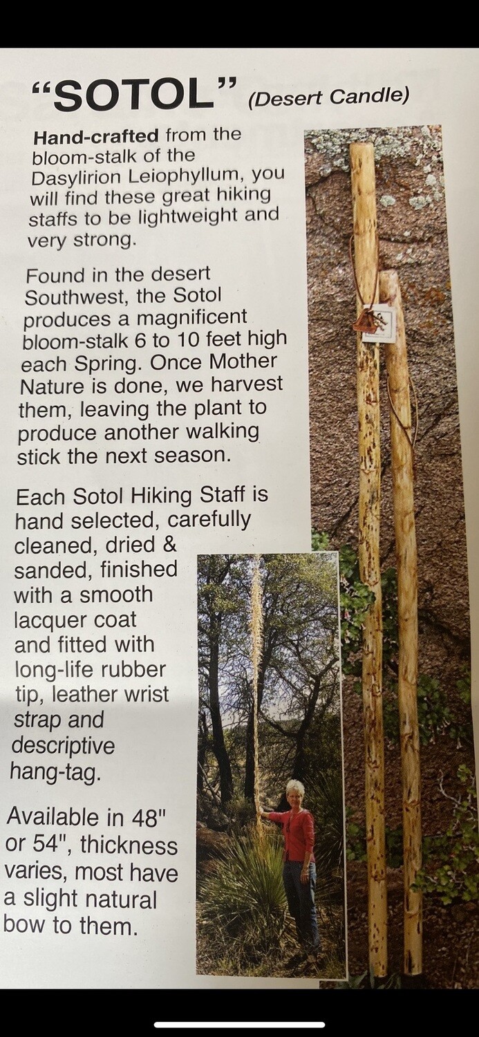 1408 Sotol Hiking Staff "Desert Candle" 54"