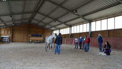 Praktische Prüfungsvorbereitung Abschluss Pferdeheilpraktiker