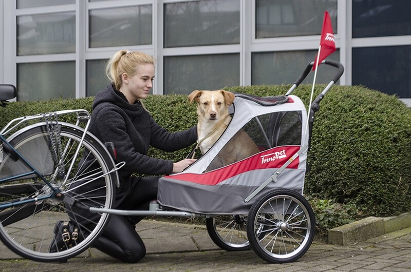 Kupplung InnoPet® Sporty Dog Trailer Deluxe