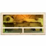 Repiterra Holz Terrarium Mit Seitenbelüftung 100x50x50cm -