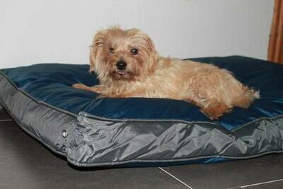 Hunde-Outdoorkissen 105 x 67 cm, wasserdicht und robust