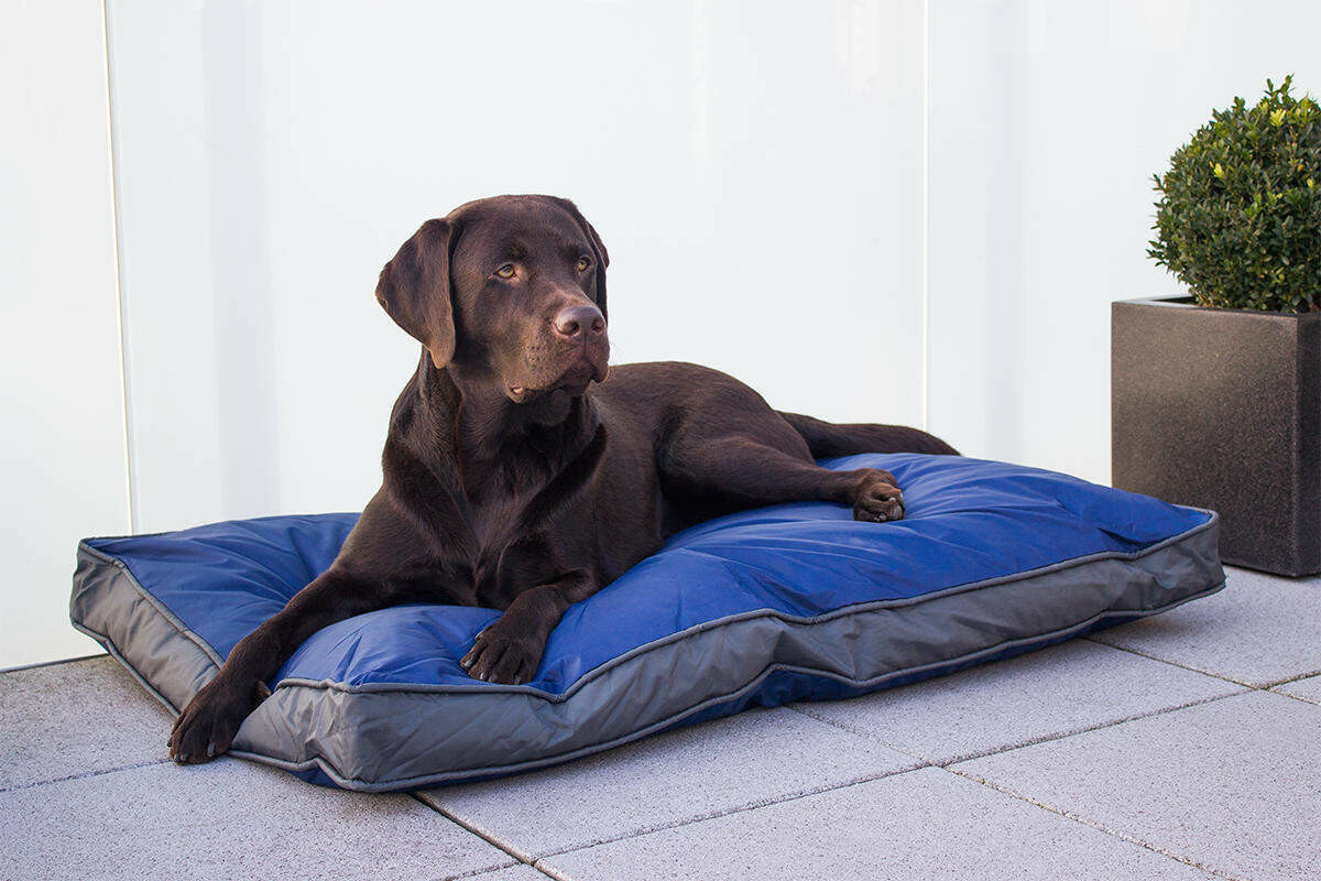 Hunde-Outdoorkissen 105 x 67 cm, wasserdicht und robust