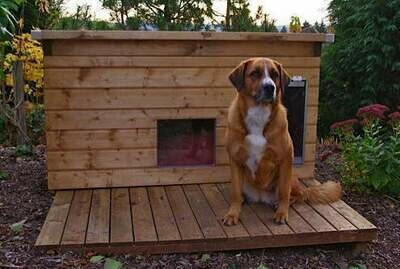 SAUERLAND Holz-Liegeroste für Hundehütten / Hundezwinger