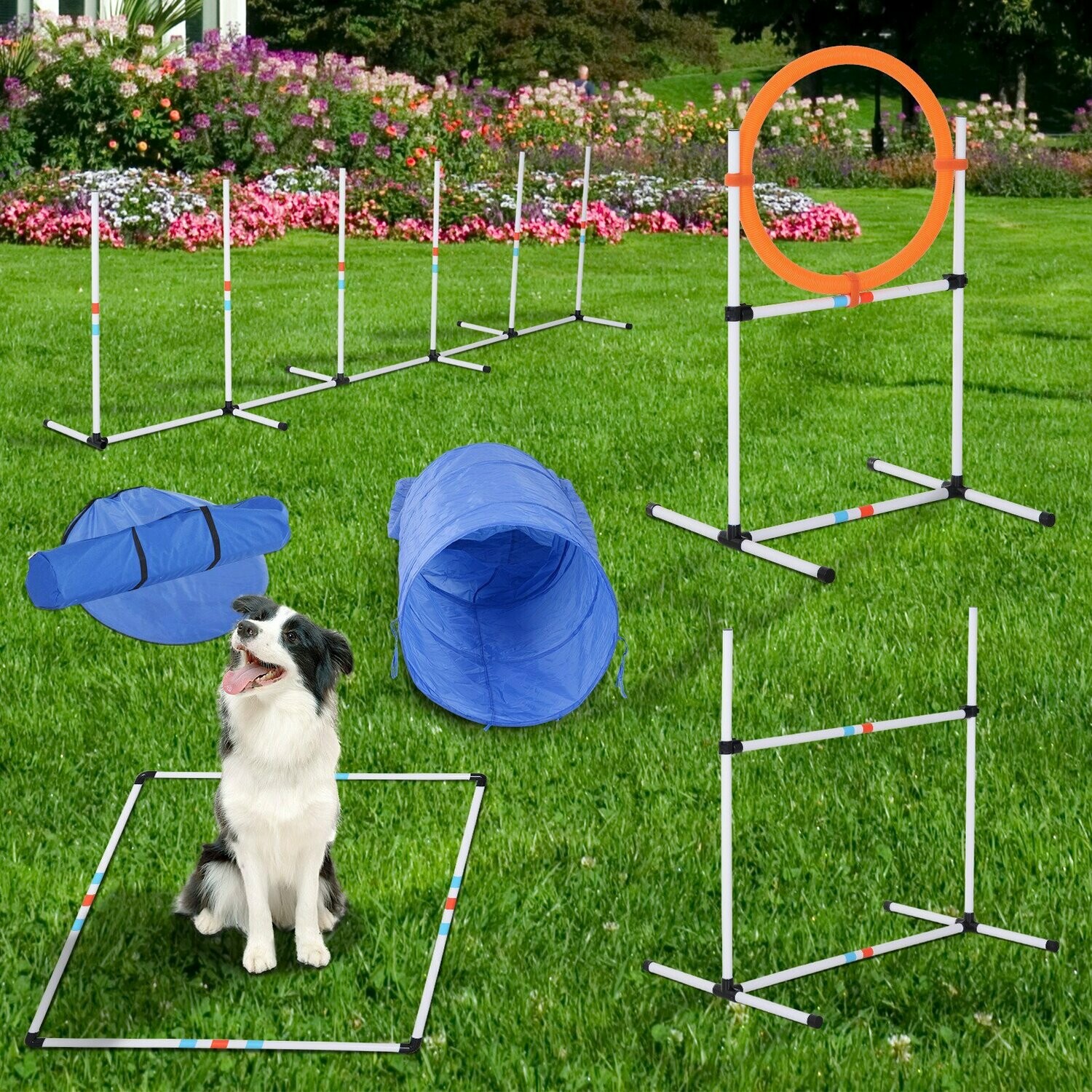 Hunde Agility Set Training für Haustiere mit Hundetunnel Inklusive Tasche