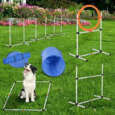 Hunde Agility Set Training für Haustiere mit Hundetunnel Inklusive Tasche