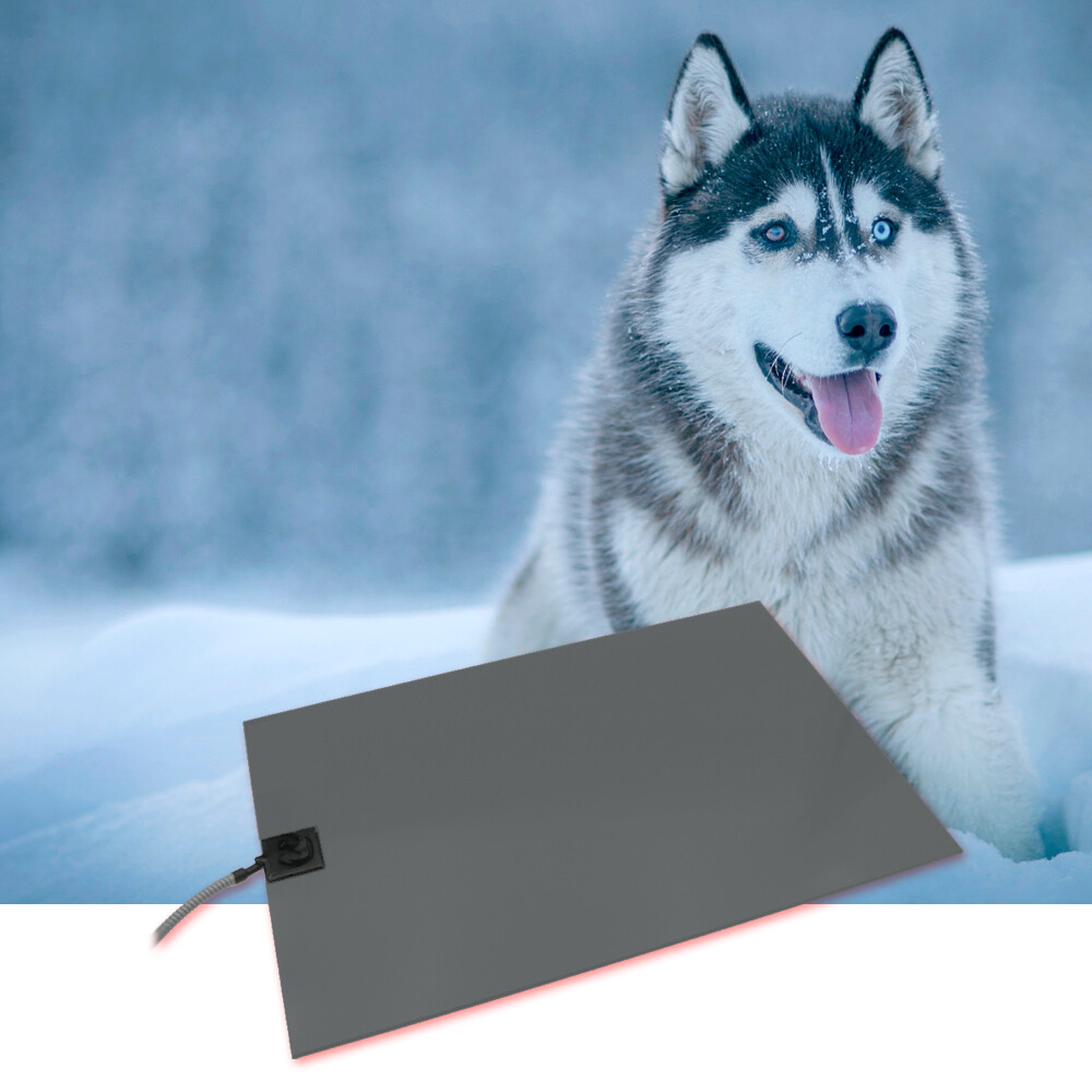 Mobile Wärmeplatte Heizmatte für Hunde PVC groß 58x81 cm mit Kfz-Stecker und Bissschutz