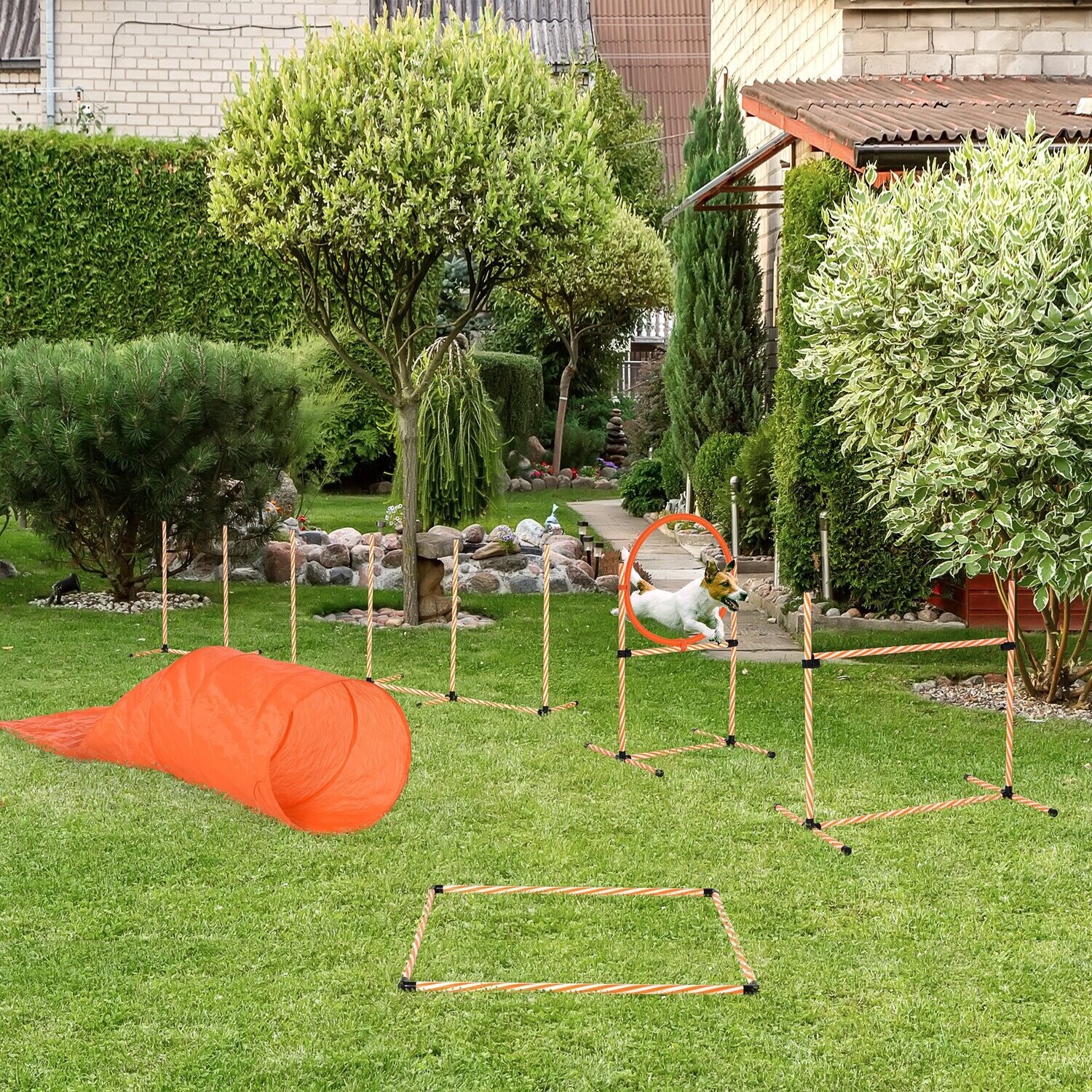 5-tlg. Hunde Agility Set Training mit Hundepfeife