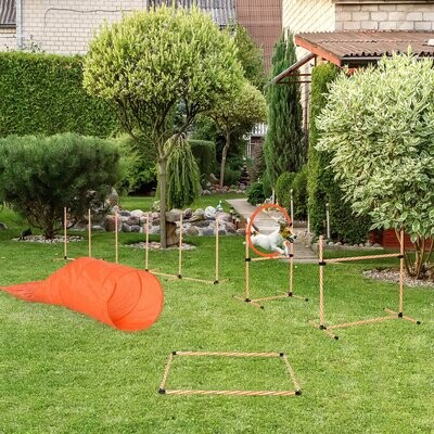 Agility Set Hunde 5-tlg. – Tunnel, Stangen, Ring, Pfeife, Orange/Weiss