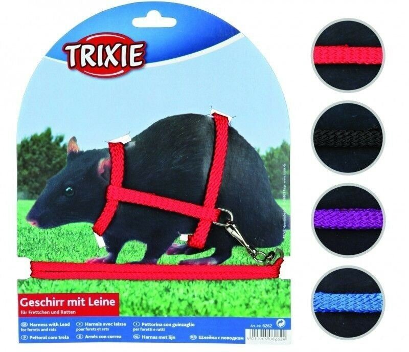 Outlet: Geschirr mit Leine für Frettchen und Ratten blau
