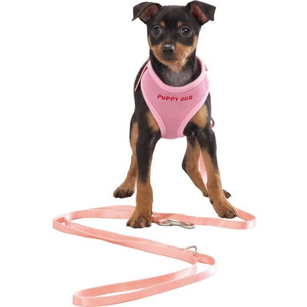 Trixie Welpengeschirr mit Leine Rosa