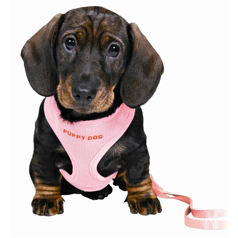 Trixie Welpengeschirr mit Leine Rosa