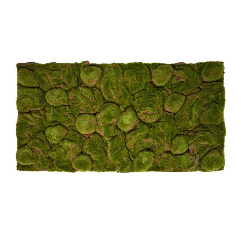 Terrarium Rückwand 120x60 cm Moos