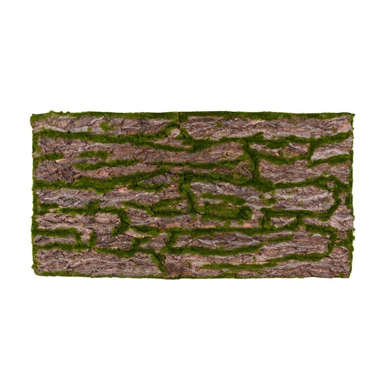Terrarium Rückwand 120x60 cm Rinde