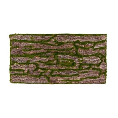 Terrarium Rückwand 120x60 cm Rinde