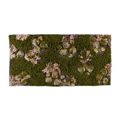Terrarium Rückwand 120x60 cm Wald
